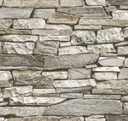 Giấy Dán Tường 27051