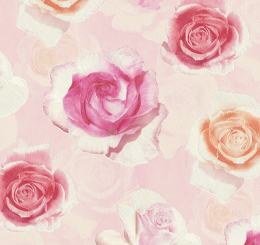 Mẫu Giấy Dán Tường ở Tại Biên Hòa