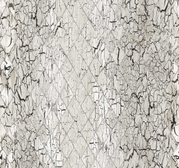 Giấy Dán Tường 91262