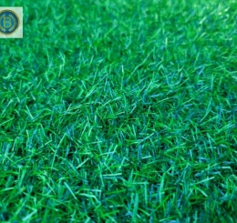 Báo giá Thảm Cỏ trải sân vườn tại Biên Hòa