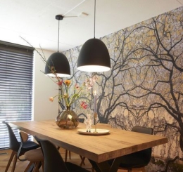 GIẤY DÁN TƯỜNG HQ DVG01