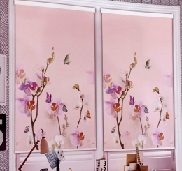 Rèm Cuốn Tranh CT009