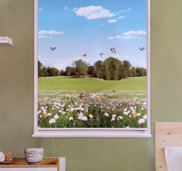 Rèm Cuốn Tranh CT016