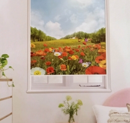 Rèm Cuốn Tranh CT018