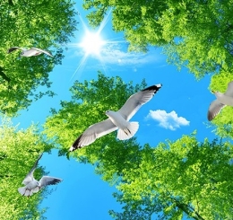 Cung Cấp Lắp Đặt Thi Công Hoàn Thiện Tranh Dán Tường 3D Tại Đông Nai