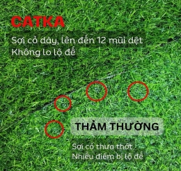 Cung Cấp Thảm Cỏ Nhân Tạo Uy Tín Tại Phường Biên Hòa - Đồng Nai