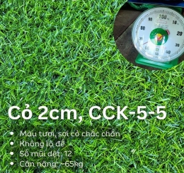 Cung Cấp Thảm Cỏ Nhân Tạo Uy Tín Tại Phường Trấn Biên - Đồng Nai