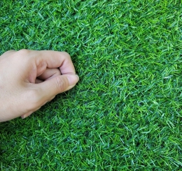 Cung Cấp Thảm Cỏ Nhân Tạo Uy Tín Tại Phường Trảng Dài - Đồng Nai