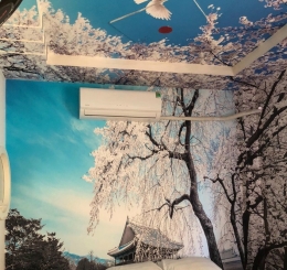 Dán Tranh Dán Tường Tại Vĩnh Cửu