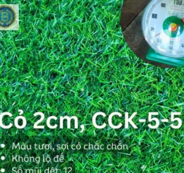 Địa chỉ cung cấp Thảm cỏ giá rẻ ở Tam Phước