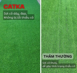 Đơn Vị Cung Cấp Thảm Cỏ Nhân Tạo Uy Tín Tại Đồng Nai