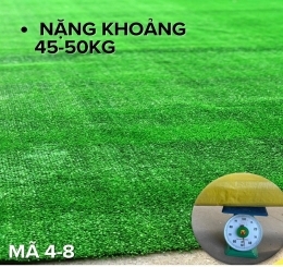 Đơn Vị Cung Cấp Thảm Cỏ Nhân Tạo Uy Tín Tại Long Thành - Đồng Nai