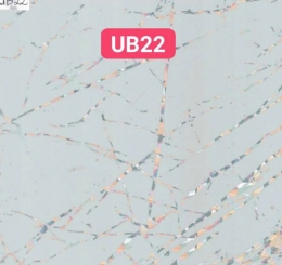 Đơn Vị Nơi Cung Cấp Thi Công Tấm Ốp PVC Tại Long Thành Giá Rẻ Nhất