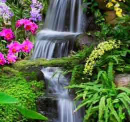 Tranh Dán Tường Tại Long Bình Tân Biên Hòa