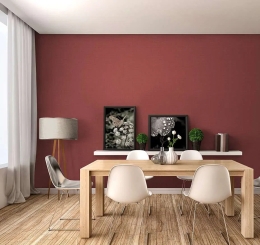 Giấy Dán Tường Màu Đỏ Đơn Sắc Tại Đồng Nai - Kho Giấy Dán Tường