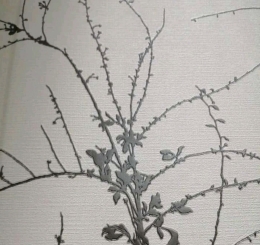 Giấy Dán Tường Giá Rẻ Ở Tại Biên Hòa