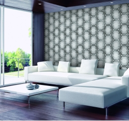 Mẫu Giấy Dán Tường Tại Đồng Nai Giá Rẻ