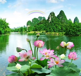 Kho Tranh Dán Tường 3D Chất Lượng Cao Tại Trảng Bom - Đồng Nai