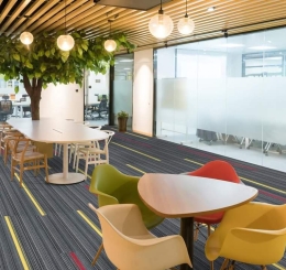 Nhận Thi Công Thảm Trải Sàn Giá Rẻ Nhơn Trạch Đồng Nai 