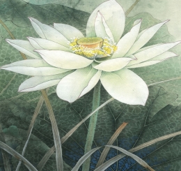 Nhận Thi Công Tranh Dán Tường Giá Rẻ Đồng Nai Biên Hòa