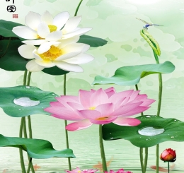 Nơi Bán Tranh Dán Tường 3D Chất Lượng Cao Đồng Nai - Biên Hòa