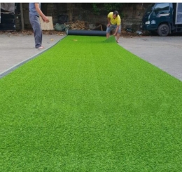 Nơi cung cấp thảm cỏ nhân tạo giá tốt tại phường Thủ Dầu Một
