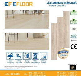 Sàn Nhựa Biên Hòa 