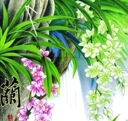 Showroom Chuyên Cung Cấp Thi Công Tranh Dán Tường 3D Giá Rẻ Ở Tại  Nhơn Trạch Đồng Nai