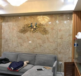 Tấm Ốp Pvc Giả Đá Giá Rẻ Vĩnh Cửu Đồng Nai 