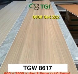 TẤM ỐP TƯỜNG TRONG NHÀ NANO BIÊN HÒA ĐỒNG NAI