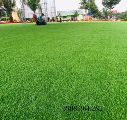 Thảm Cỏ Nhân Tạo Trải Sân Vườn Trang Trí Tại Phường Tam Hiệp