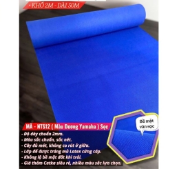 Thảm Nỉ Trải Sự Kiện Giá Rẻ Tại Phường Tam Hiệp