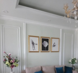 Thi Công Phào Chỉ Nhựa Uy Tín Tại Phường Trảng Dài - Đồng Nai