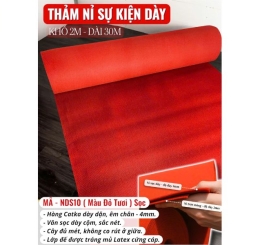 Thi Công Thảm Nỉ Trải Sự Kiện Uy Tín Tại Biên Hòa