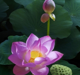 Thi Công Tranh Dán Tường 3D Uy Tín Nhơn Trạch - Đồng Nai