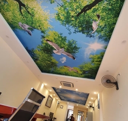 Thi Công Tranh Dán Tường Uy Tín  Giá Rẻ Tại Biên Hòa 