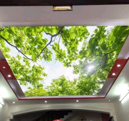 TRANH DÁN TƯỜNG 3D 4D 5D TẠI XUÂN LỘC