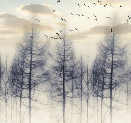 Tranh Tường 3D Tại Đồng Nai