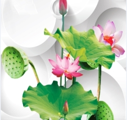 Tranh Dán Tường 3D BN Tại Biên Hòa Đồng Nai