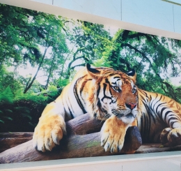 Tranh Dán Tường Giá Rẻ Tại Long Thành Đồng Nai