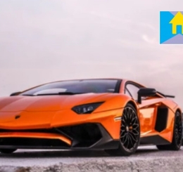 TRANH IN VẢI LỤA PHỦ BÓNG TÂN PHÚ ĐỒNG NAI