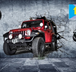  TRANH IN VẢI LỤA PHỦ BÓNG THUẬN AN BÌNH DƯƠNG 