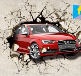  TRANH IN VẢI LỤA PHỦ BÓNG TRÀNG BOM HỐ NAI