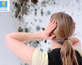 Kinh Nghiệm Sử Dụng Giấy Dán Tường Tránh Bong Tróc Ẩm Mốc