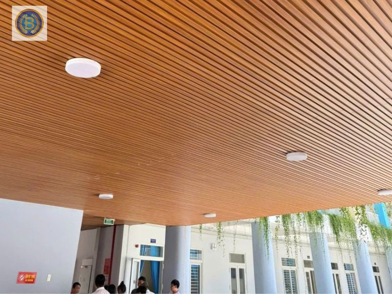 Mẫu Trần làm bằng Lam Sóng Nhôm Mẫu Trần làm bằng Lam Sóng Nhôm